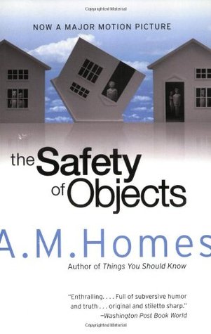 The Safety of Objects (Paperback)