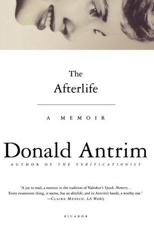 The Afterlife (Paperback)