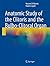 Anatomic Study of the Clitoris and the Bulbo-Clitoral Organ