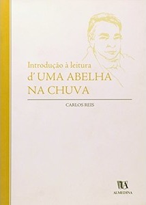 Introdução à leitura d' Uma Abelha na Chuva