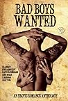 Bad Boys Wanted by Lynn Burke