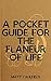 A Pocket Guide For The Flaneur Of Life by Matt Caulfield