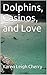 Dolphins, Casinos, and Love