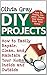 DIY Projects: How to Easily Repair, Clean, and Maintain Your Home Inside and Outside (DIY Projects, diy household, diy household hacks)