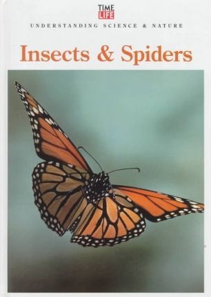 Insects & Spiders (Understanding Science & Nature Series)