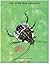 The Stink Bug Invasion by Peter Matthews