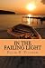In the Failing Light