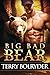 Big Bad Bear (Soldier Bears...