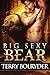 Big Sexy Bear (Soldier Bear...