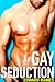 Gay Seduction (3 Book Box Set)