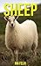 Sheep: Children Book of Fun Facts & Amazing Photos on Animals in Nature - A Wonderful Sheep Book for Kids aged 3-7