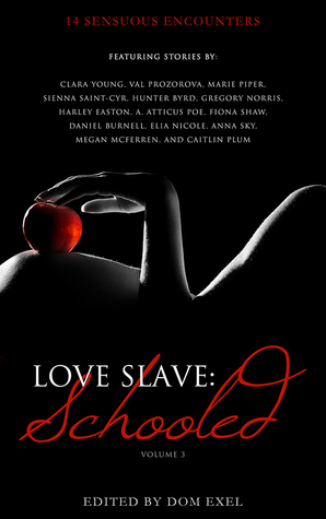 Love Slave: Schooled (Love Slave, #3)