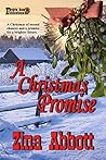 A Christmas Promise