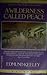 A Wilderness Called Peace