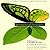 Thriving Beyond Sustainabil...