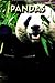 Pandas (Zoo Kids)
