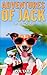 Adventures of Jack: Fun on ...