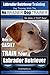 Labrador Retriever Training | Dog Training with the No BRAINER Dog TRAINER ~ We Make it THAT Easy!: How to EASILY TRAIN a Labrador Retriever