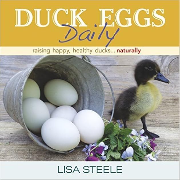 Duck Eggs Daily: Raising Happy, Healthy Ducks...Naturally
