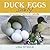 Duck Eggs Daily by Lisa   Steele