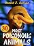 30 Most Poisonous Animals in the World that You Should Know!