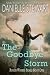 The Goodbye Storm by Danielle Stewart