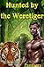 Hunted By The Weretiger