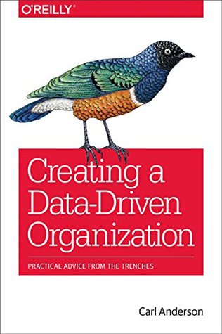 Creating a Data-Driven Organization: Practical Advice from the Trenches (Kindle Edition)