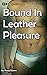 Bound in Leather Pleasure