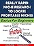 Really Rapid Niche Research to Locate Profitable Niches: Basics for Beginners (Business Basics for Beginners Book 12)