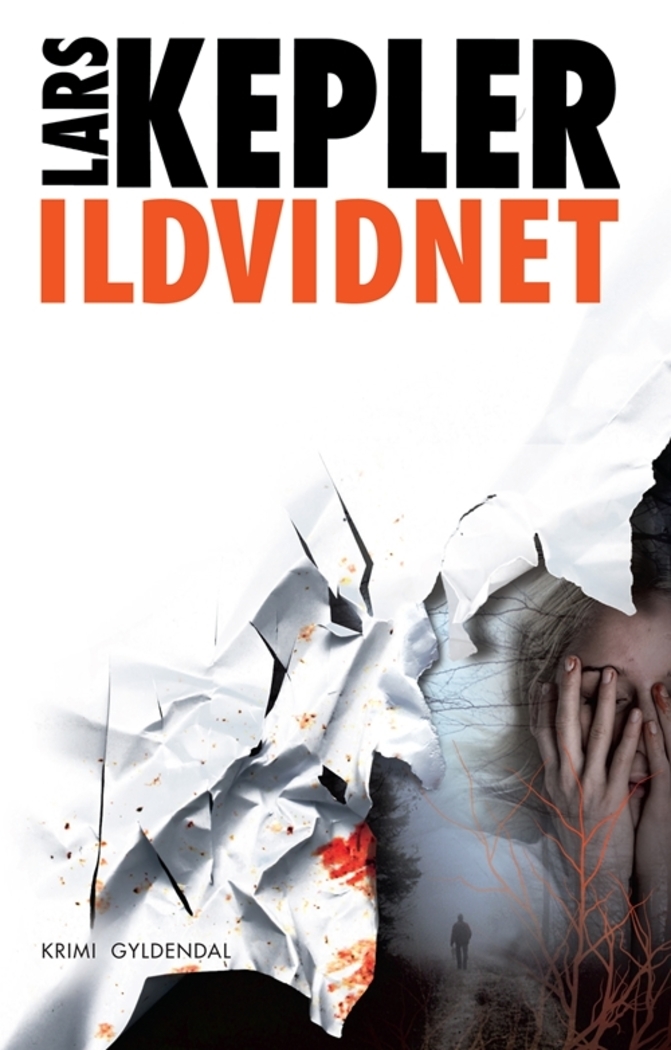 ebook download Ildvidnet (Joona Linna, #3)