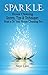 Sparkle: House Cleaning Secrets, Tips & Techniques from a 50 Year House Cleaning Pro (How to, Where to, series Book 6)