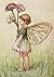 Counted Cross Stitch Patterns: "The Daisy Fairy" by Cicely Mary Barker: Flower Fairies (The Flower Fairy Series)