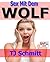 Werwolf-Sexgeschichten: Sex mit dem Wolf (German Edition)