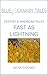 Fast as Lightning (Blue Canary Tales: Destiny & American Tales)
