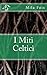 I miti celtici