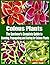 Coleus Plants - The Gardener's Complete Guide to Growing, Propagating and Caring for Coleus Plants