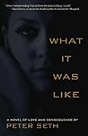 What It Was Like: A Novel of Love and Consequence
