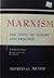 Marxism: The Unity of Theory and Practice - A Critical Essay