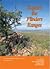 Explore the Flinders Ranges