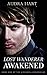 Lost Wanderer Awakened (The...