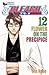 Bleach 12: Flower on a Precipice (Bleach #12)