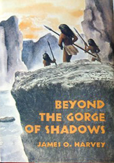 Beyond the Gorge of Shadows (Hardcover)