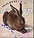 Grab a Hare By The Head: Ra...