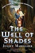The Well of Shades