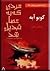 مردی که به عصا تبدیل شد