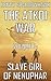 The Atkoi War, Volume 3 by Henry Sparrowhawk