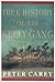 True History of the Kelly Gang