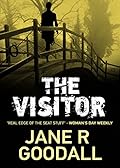 The Visitor