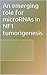 An emerging role for microRNAs in NF1 tumorigenesis